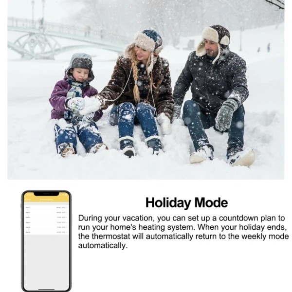 Holiday Mode controls HY312